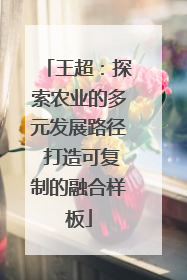 王超：探索农业的多元发展路径 打造可复制的融合样板