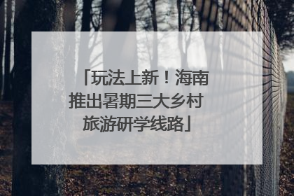 玩法上新！海南推出暑期三大乡村旅游研学线路