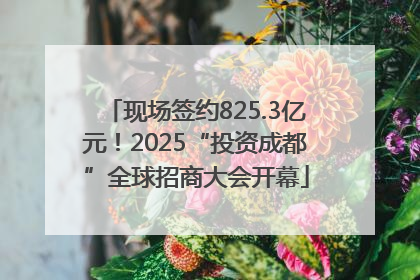 现场签约825.3亿元！2025“投资成都”全球招商大会开幕