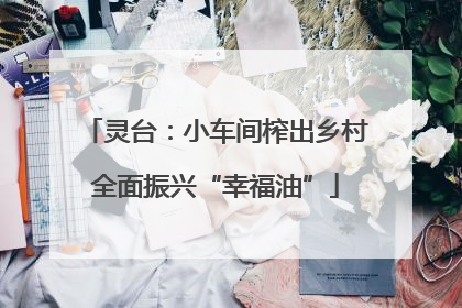 灵台：小车间榨出乡村全面振兴“幸福油”