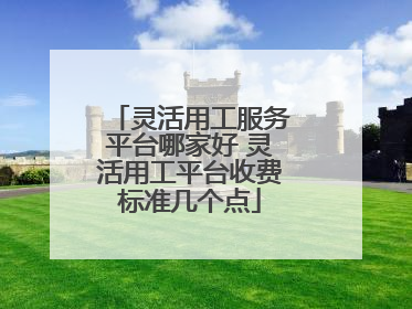 灵活用工服务平台哪家好 灵活用工平台收费标准几个点
