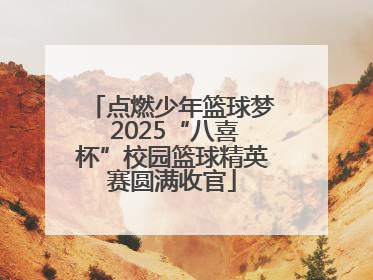 点燃少年篮球梦 2025“八喜杯”校园篮球精英赛圆满收官