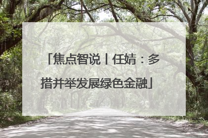 焦点智说丨任婧：多措并举发展绿色金融