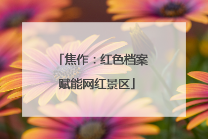 焦作：红色档案赋能网红景区