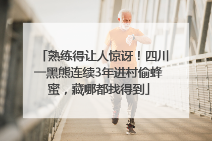 熟练得让人惊讶！四川一黑熊连续3年进村偷蜂蜜，藏哪都找得到