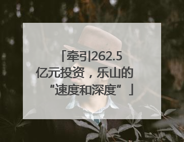 牵引262.5亿元投资，乐山的“速度和深度”