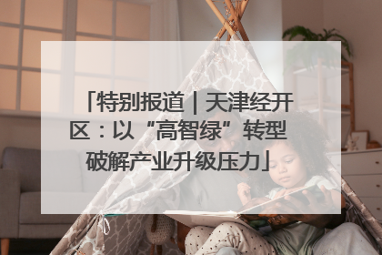 特别报道｜天津经开区：以“高智绿”转型破解产业升级压力