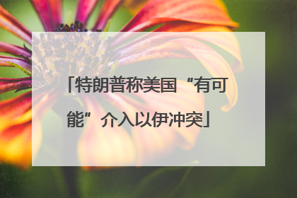 特朗普称美国“有可能”介入以伊冲突