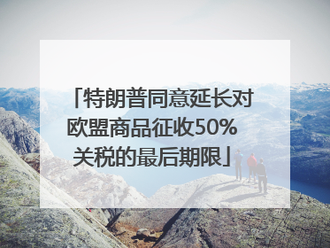 特朗普同意延长对欧盟商品征收50%关税的最后期限
