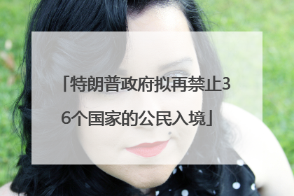 特朗普政府拟再禁止36个国家的公民入境
