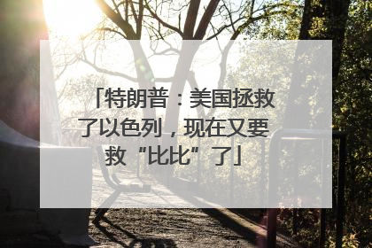特朗普：美国拯救了以色列，现在又要救“比比”了