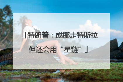 特朗普：或挪走特斯拉 但还会用“星链”