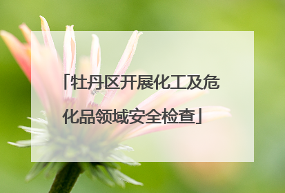 牡丹区开展化工及危化品领域安全检查