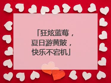 狂炫蓝莓，夏日游黄陂，快乐不宕机