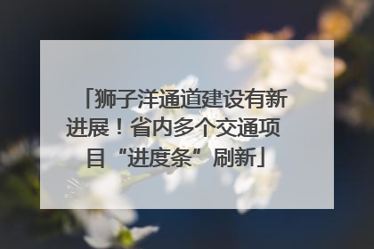狮子洋通道建设有新进展！省内多个交通项目“进度条”刷新