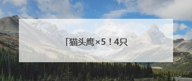 猫头鹰×5！4只在闲置房“安家”