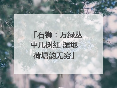 石狮：万绿丛中几树红 湿地荷塘韵无穷