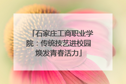 石家庄工商职业学院：传统技艺进校园焕发青春活力