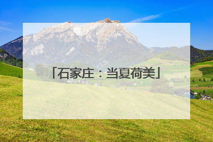石家庄：当夏荷美