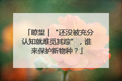 瞭望｜“还没被充分认知就难觅其踪”，谁来保护新物种？