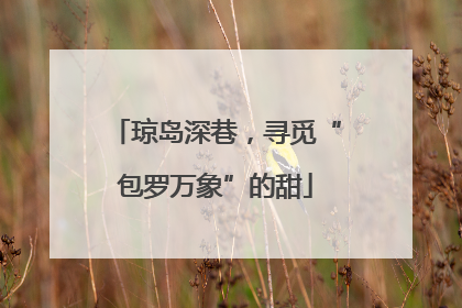 琼岛深巷，寻觅“包罗万象”的甜