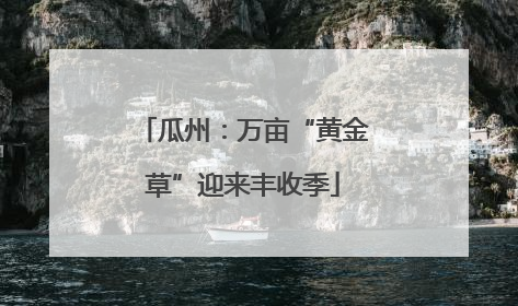 瓜州：万亩“黄金草”迎来丰收季