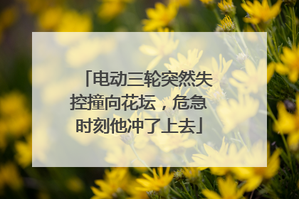 电动三轮突然失控撞向花坛，危急时刻他冲了上去