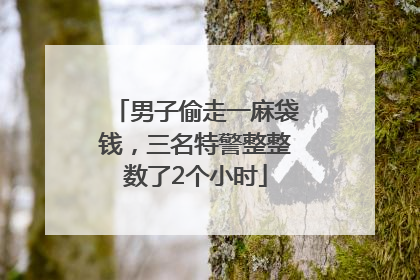 男子偷走一麻袋钱，三名特警整整数了2个小时