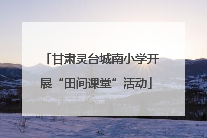 甘肃灵台城南小学开展“田间课堂”活动