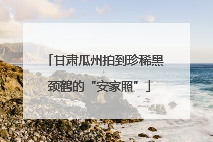 甘肃瓜州拍到珍稀黑颈鹤的“安家照”