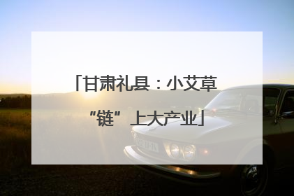 甘肃礼县：小艾草“链”上大产业