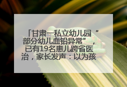 甘肃一私立幼儿园“部分幼儿血铅异常”，已有19名患儿跨省医治，家长发声：以为孩子出问题，没想过会与学校有关