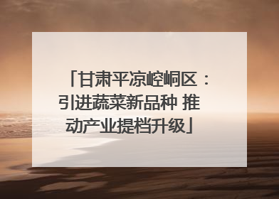 甘肃平凉崆峒区：引进蔬菜新品种 推动产业提档升级