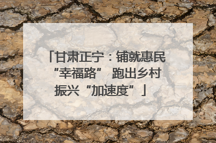 甘肃正宁：铺就惠民“幸福路” 跑出乡村振兴“加速度”