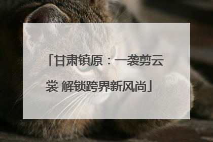 甘肃镇原：一袭剪云裳 解锁跨界新风尚