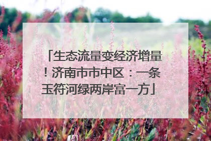 生态流量变经济增量！济南市市中区：一条玉符河绿两岸富一方