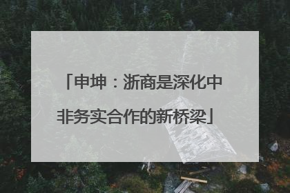 申坤：浙商是深化中非务实合作的新桥梁