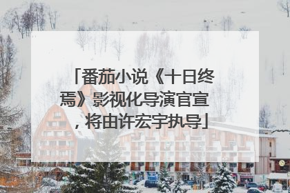 番茄小说《十日终焉》影视化导演官宣，将由许宏宇执导