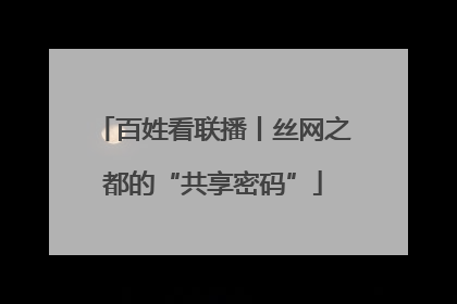 百姓看联播丨丝网之都的“共享密码”