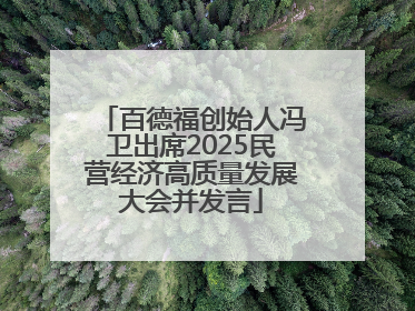 百德福创始人冯卫出席2025民营经济高质量发展大会并发言