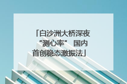 白沙洲大桥深夜“测心率” 国内首创稳态激振法