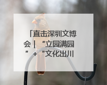 直击深圳文博会｜“立园满园”+“文化出川”+“科技赋能”，成都传媒发布三大文创领域合作清单