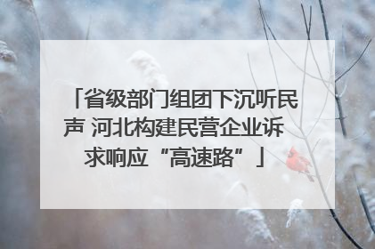 省级部门组团下沉听民声 河北构建民营企业诉求响应“高速路”