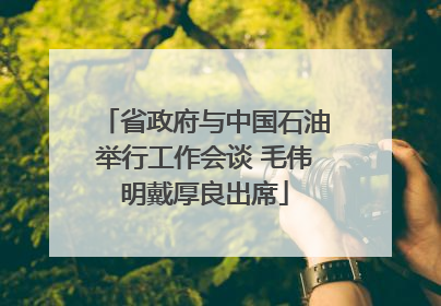 省政府与中国石油举行工作会谈 毛伟明戴厚良出席