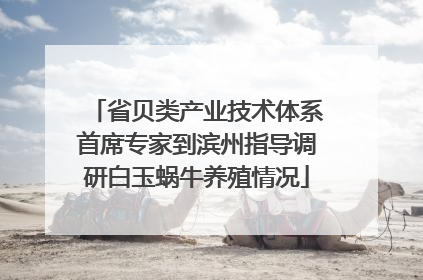 省贝类产业技术体系首席专家到滨州指导调研白玉蜗牛养殖情况