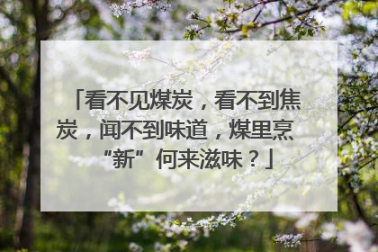 看不见煤炭，看不到焦炭，闻不到味道，煤里烹“新”何来滋味？