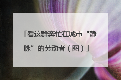 看这群奔忙在城市“静脉”的劳动者（图）