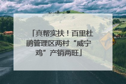 真帮实扶！百里杜鹃管理区两村“威宁鸡”产销两旺