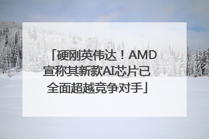 硬刚英伟达！AMD宣称其新款AI芯片已全面超越竞争对手