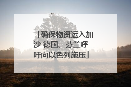 确保物资运入加沙 德国、芬兰呼吁向以色列施压